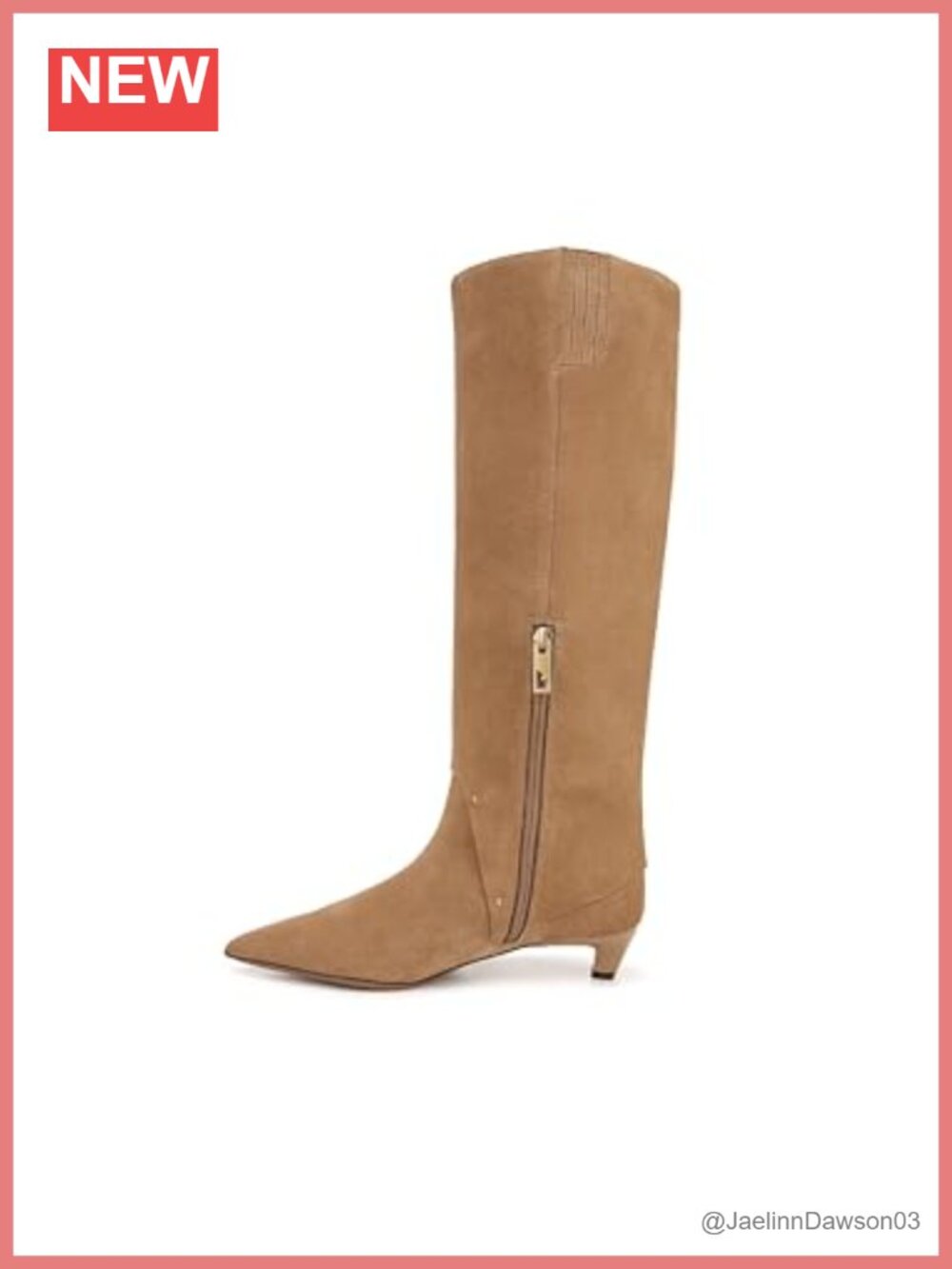 Pointed Toe Kitten Heel Tall Boot Leather Zip Knee High Women's